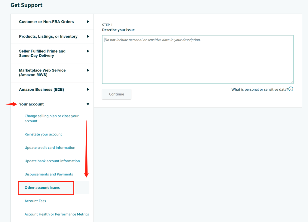 Amazon Seller Central Other Account Issues